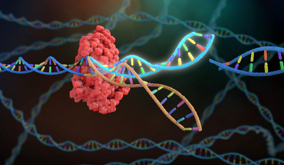 Olink & Transcriptome