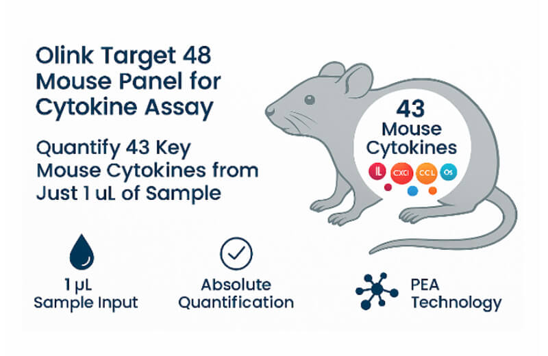Olink Target 48 Mouse Panel for Cytokine Assay