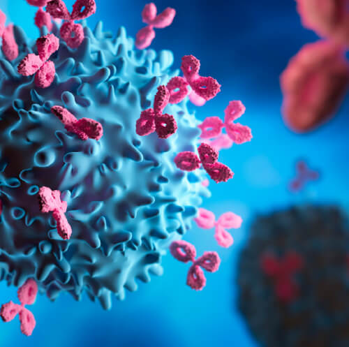 Olink & Microbiome