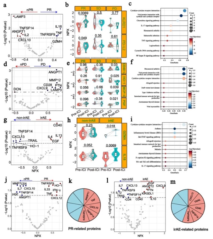 Proteomic analysis of plasma biomarkers predicting immune checkpoint inhibitor response and toxicity outcomes.