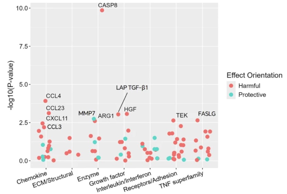 Targeted proteomic analysis of 92-protein panel associations with breast cancer risk biomarkers in study cohort.