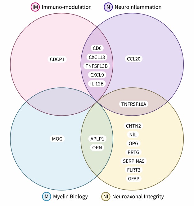 Venn diagram of four overlapping circles: IM, NI, MB, NI, showing shared proteins.
