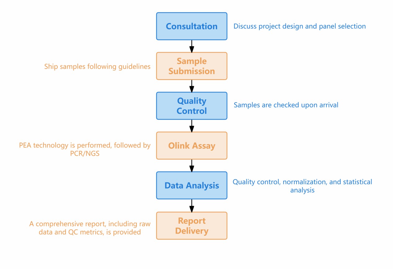 Olink assay project workflow from consultation to report delivery.