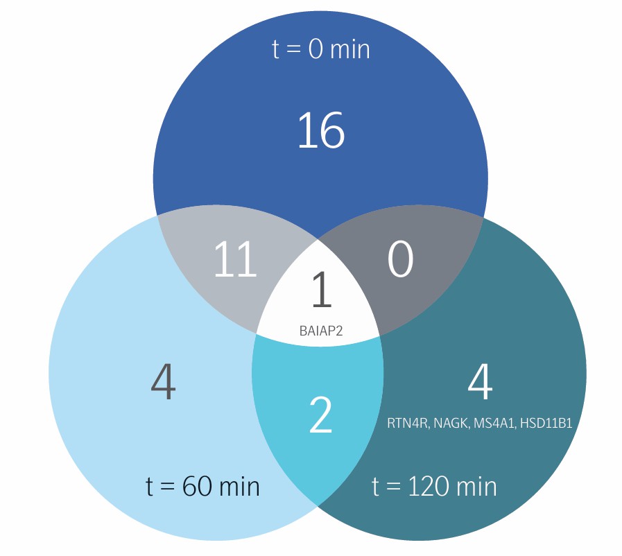 Venn diagram of proteins associated with OGTT at t=0 min (baseline), t=60 min, and t=120 min.