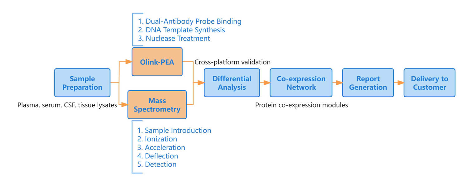 Diagram illustrating protein analysis workflow combining Olink-PEA and Mass Spectrometry.