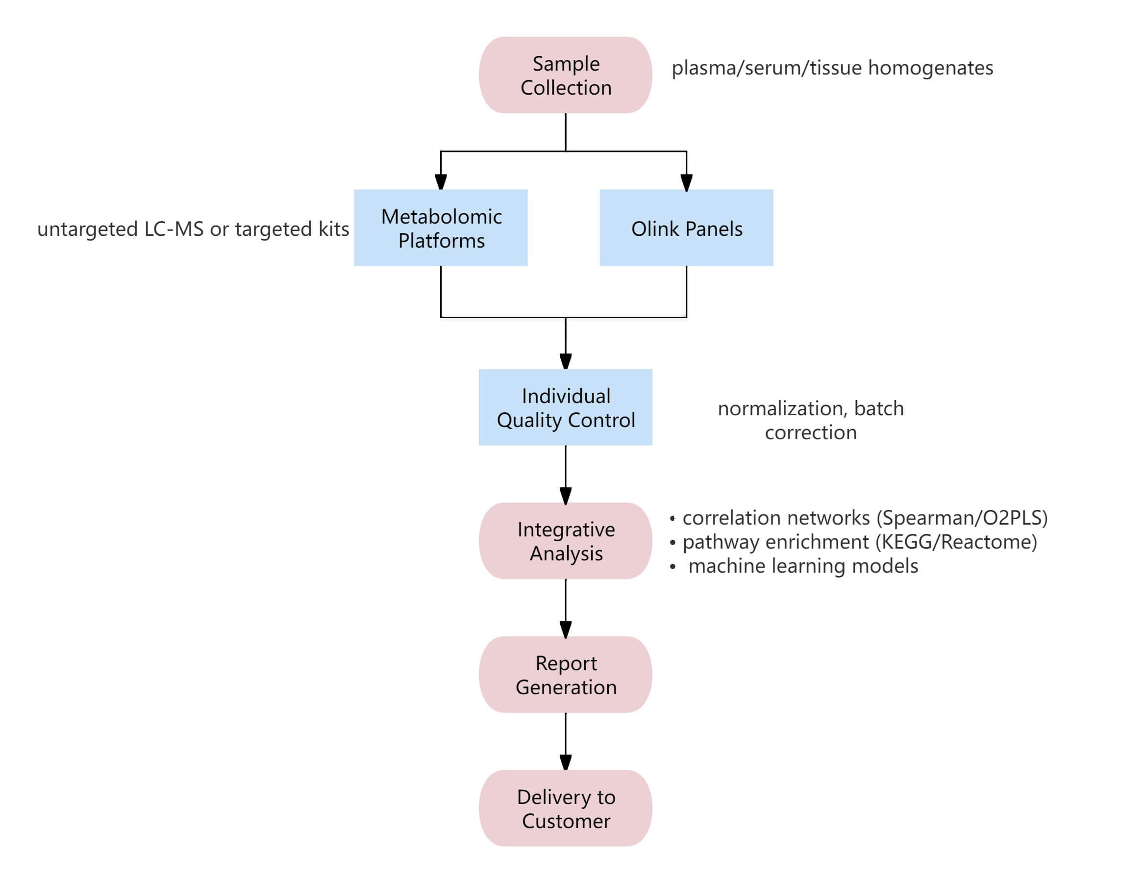 Flowchart showing metabolomic analysis process from sample collection to report delivery.