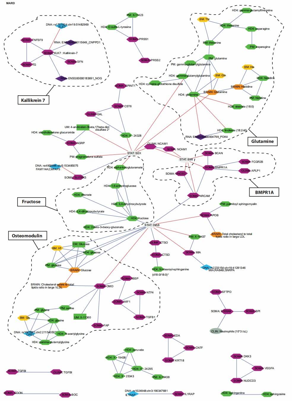 Molecular interactions for KLK7, glutamine & fructose in human biosys.