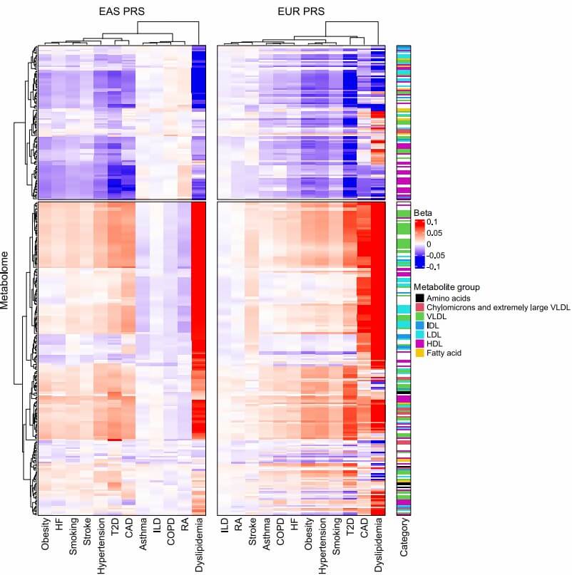 Heatmap comparing EAS vs EUR polygenic risk scores across metabolic traits and diseases.