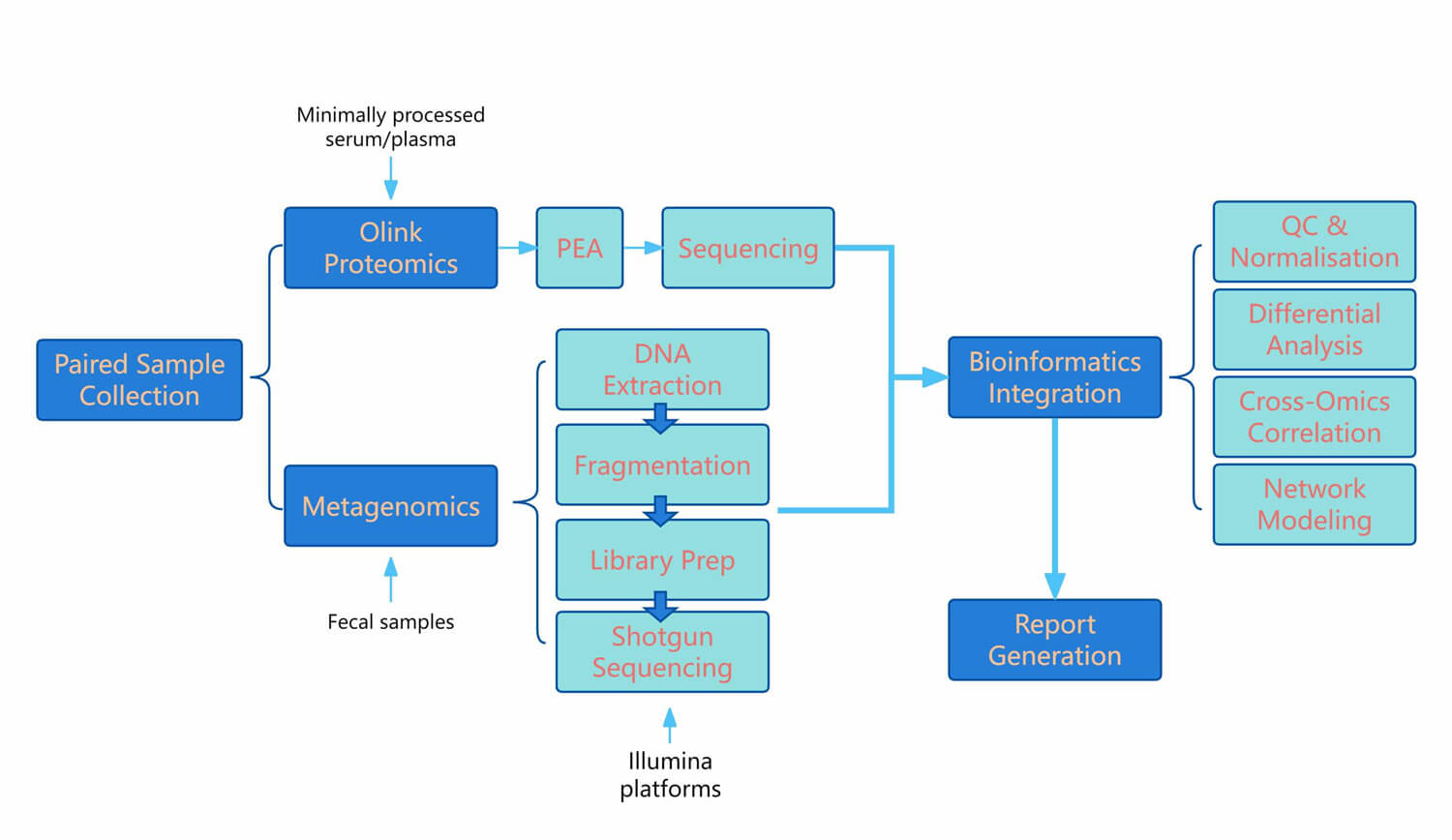 Multi-omics paired sample workflow of proteomics & metagenomics.