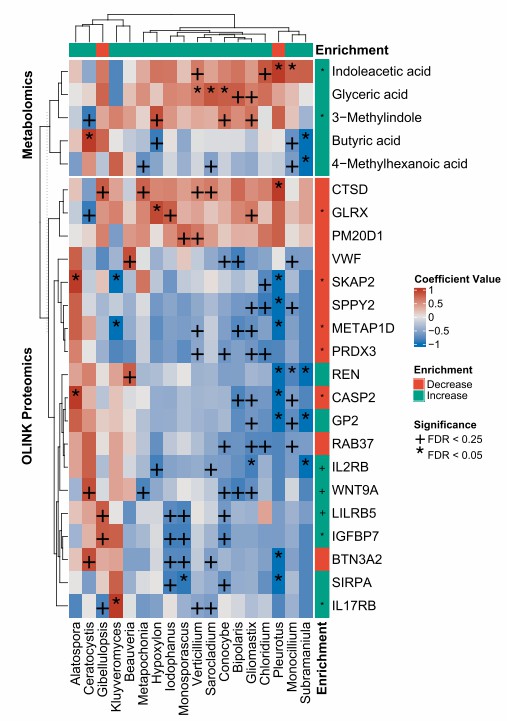 Fungal abundance changes correlate with serum biomarkers via Spearman.