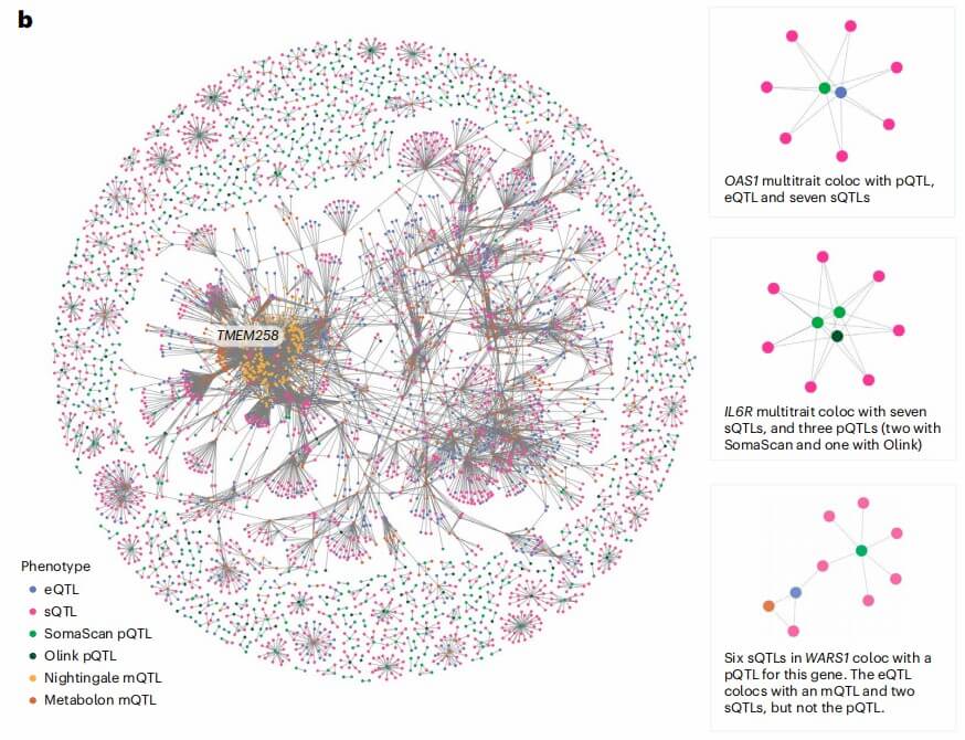 Multi-QTL co-localization networks for inflammation-related genes.