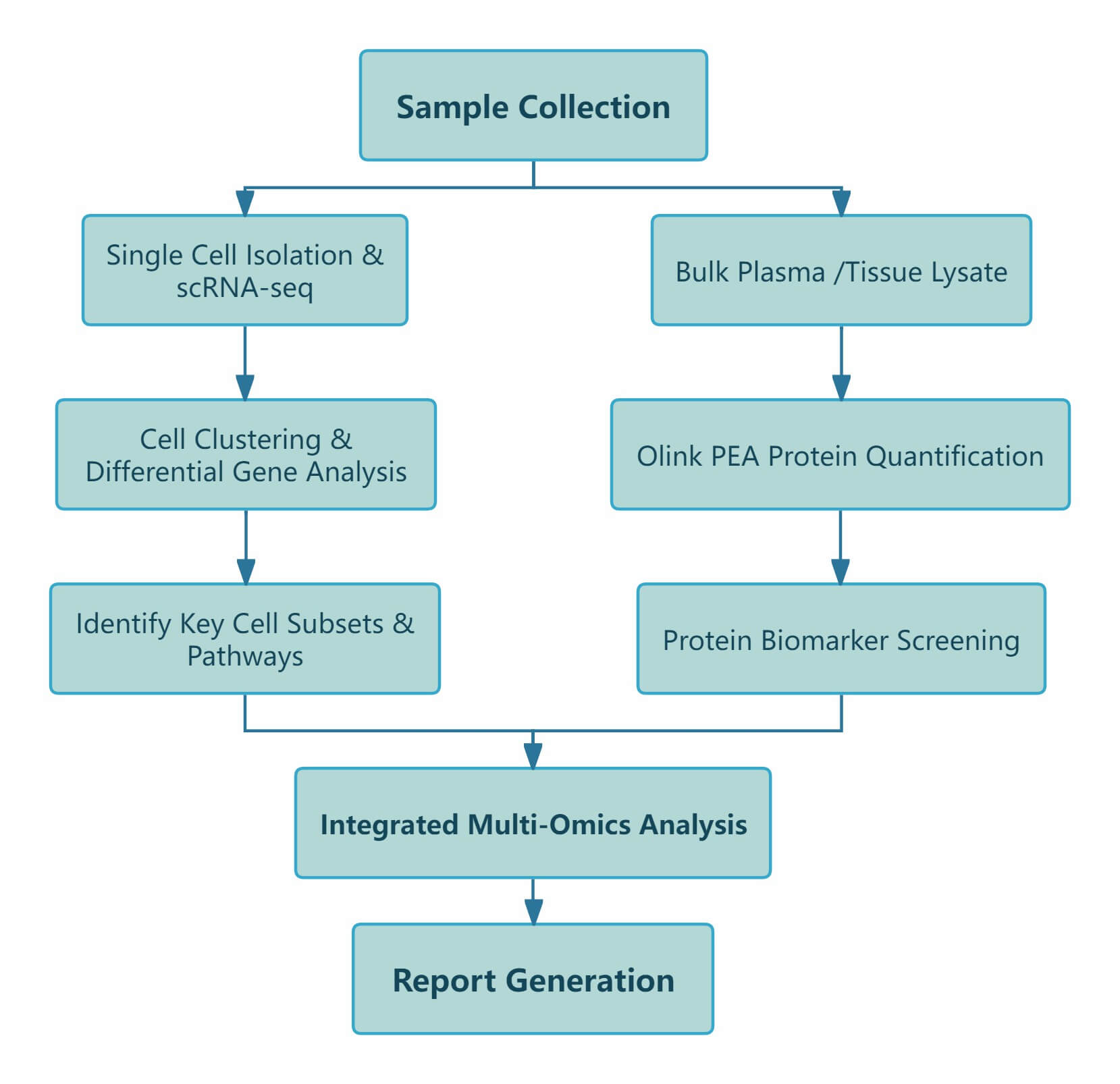 Bioinformatics flowchart: scRNA-seq and protein analysis merge for multi-omics integration and reporting.