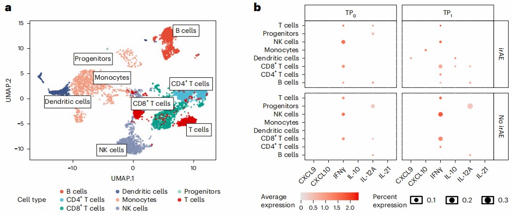 UMAP immune cell clusters and therapy-response marker expression dot plots.