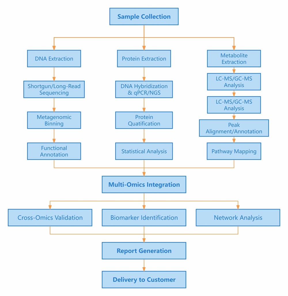 Bioinformatics multi-omics workflow: genomics, proteomics, metabolomics integration.