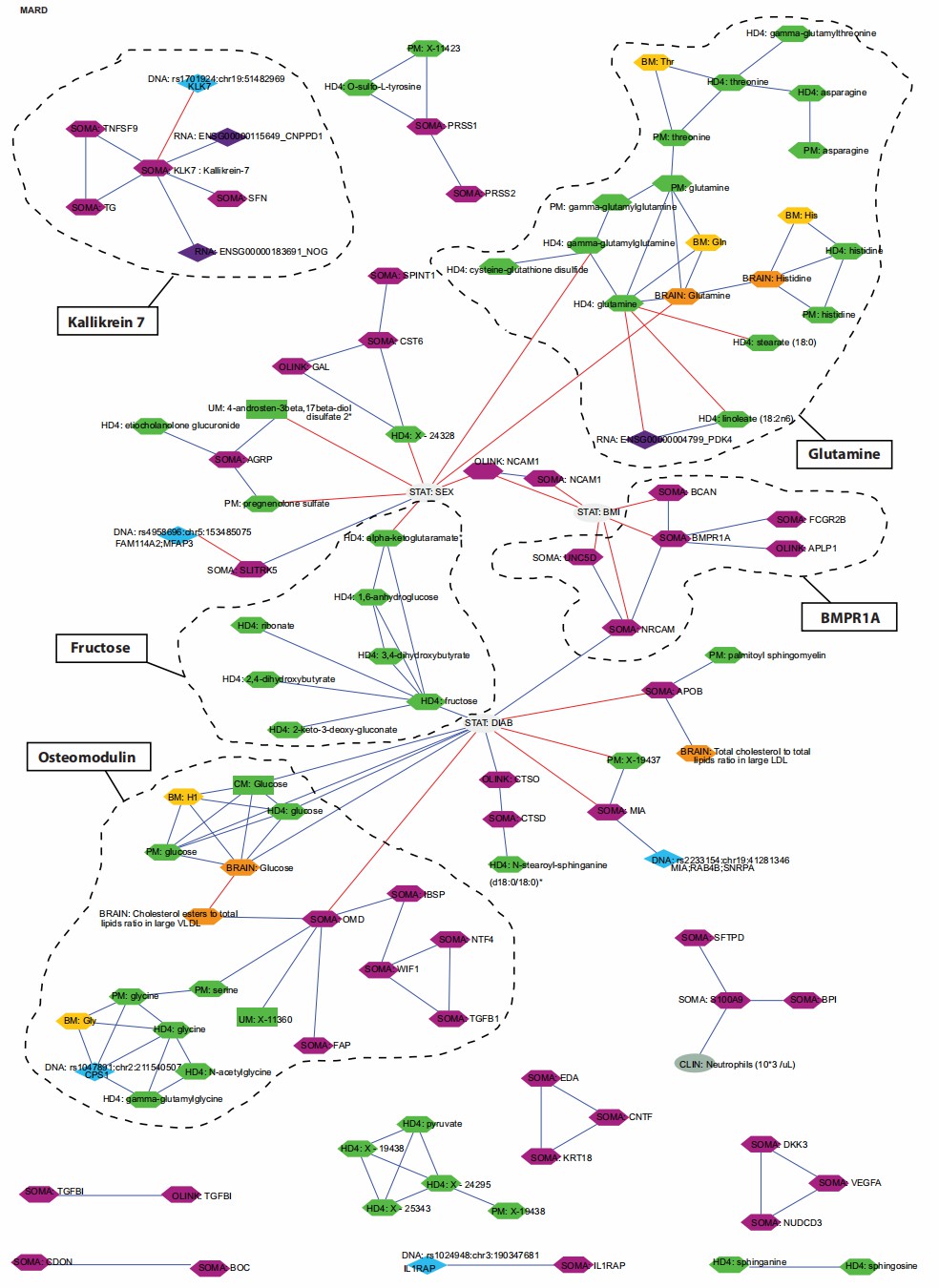 Molecular interactions for KLK7, glutamine & fructose in human biosys.