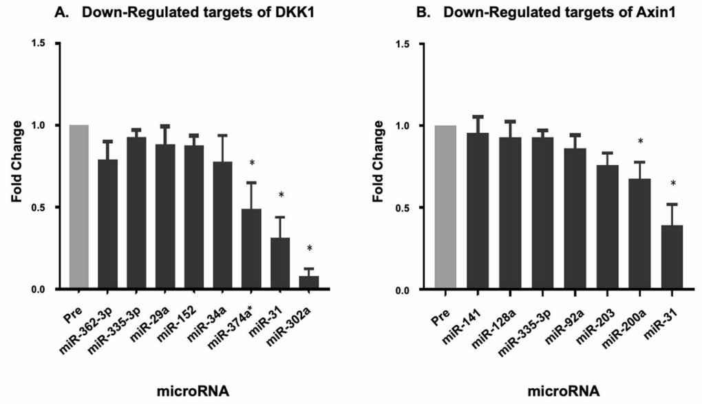 Bar charts for DKK1 and Axin1 down-regulated miRNA targets showing fold change. 69 characters.