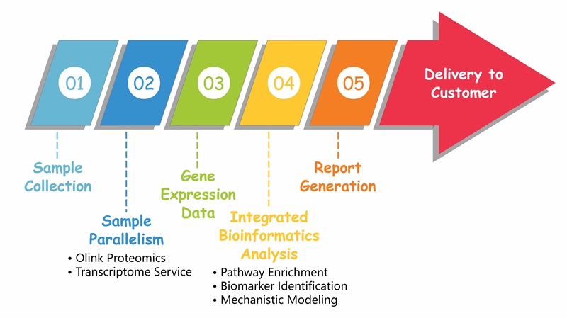 Bioinformatics flowchart: Transcriptome and protein analysis merge for multi-omics integration and reporting.