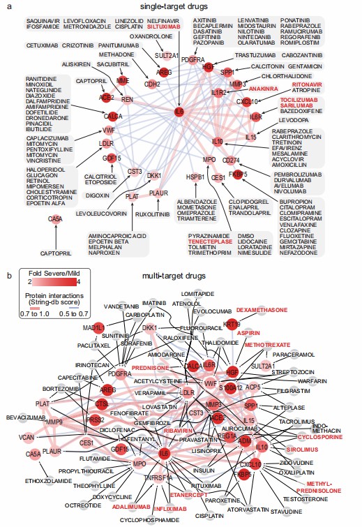 Protein-drug interaction networks for single and multi-target drugs.