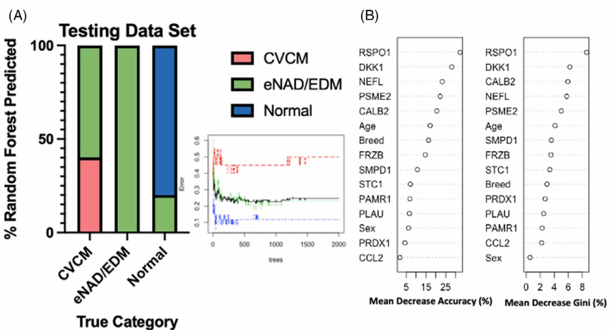 Random Forest classification performance and feature importance for CVCM biomarkers.