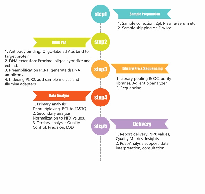 Olink PEA assay workflow diagram with 5 steps from sample to report.