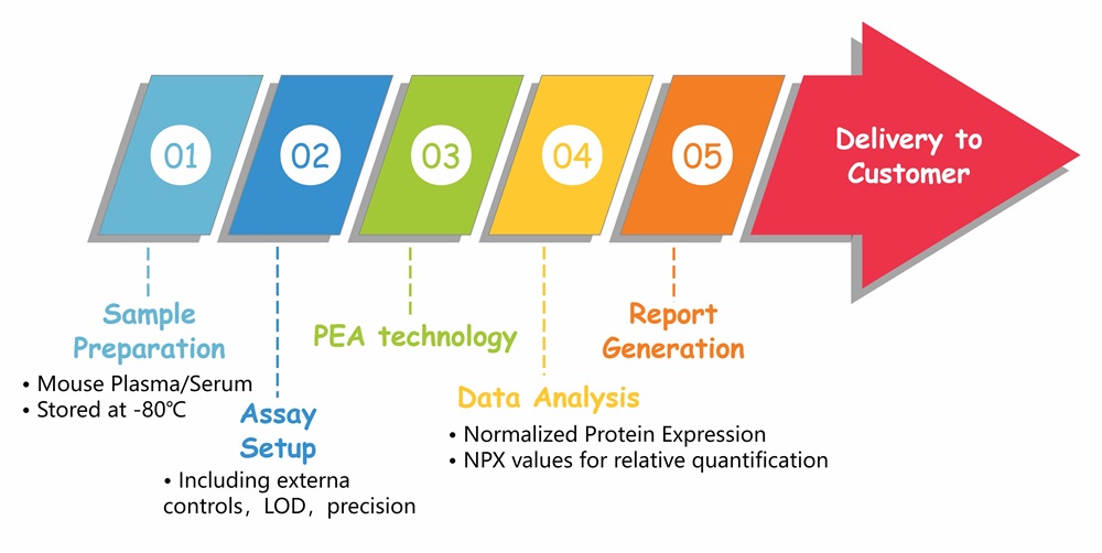 Olink PEA assay workflow diagram with 5 steps from sample to report.