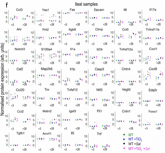 Scatter plots of normalized ileum protein expression for multiple genes across four treatment groups over time.