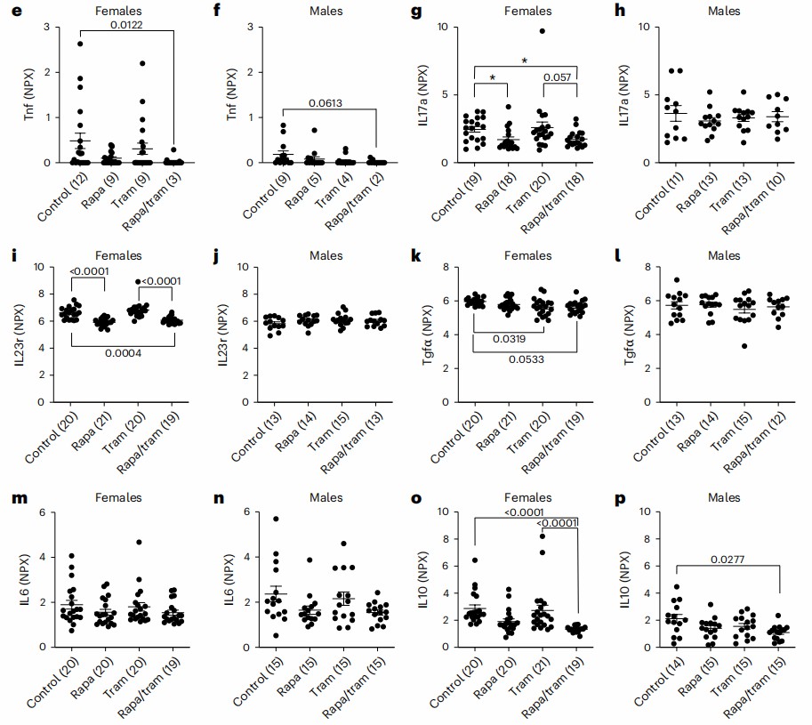 Gene expression (NPX) of inflammatory genes in female and male mice under drug treatments.