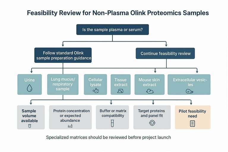 Olink non-plasma sample feasibility decision tree for urine lysates tissue and EVs