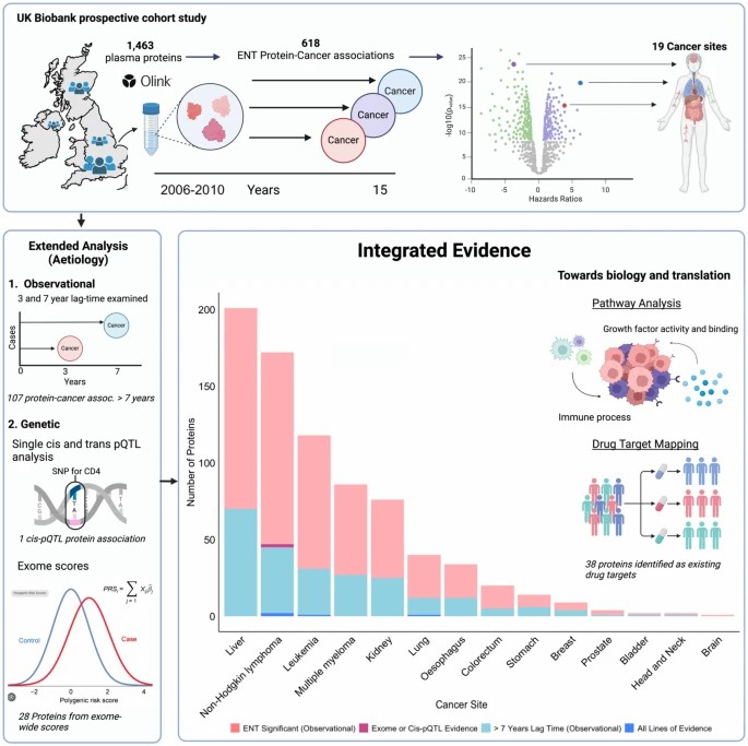 Figure 1. UKB-PPP proteomics study design & protein-cancer associations