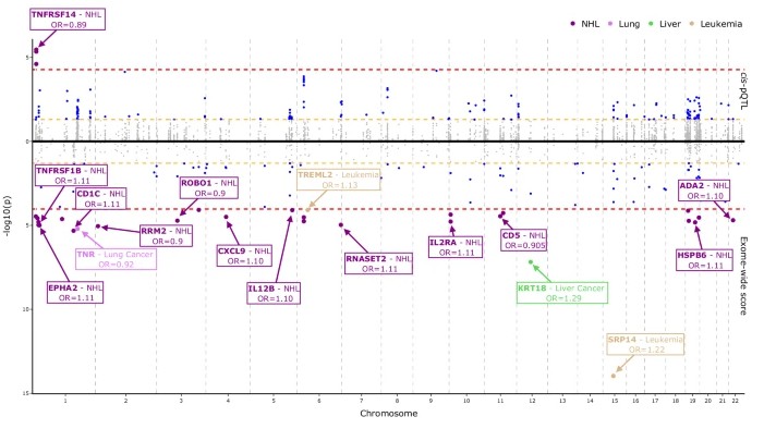 Figure 2. Manhattan plot of genetic protein risk via pQTL & exome scores