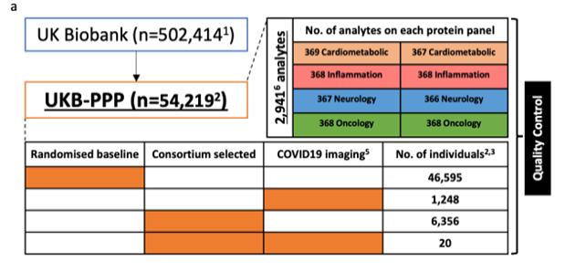 Figure 4. UKB-PPP cohort composition of 54,000 plasma samples