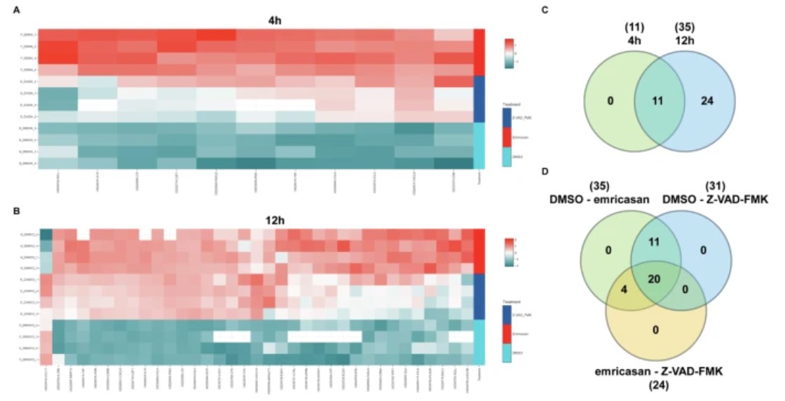 Graph of protein secretions from natural killer cells after pancaspase inhibitor treatment.