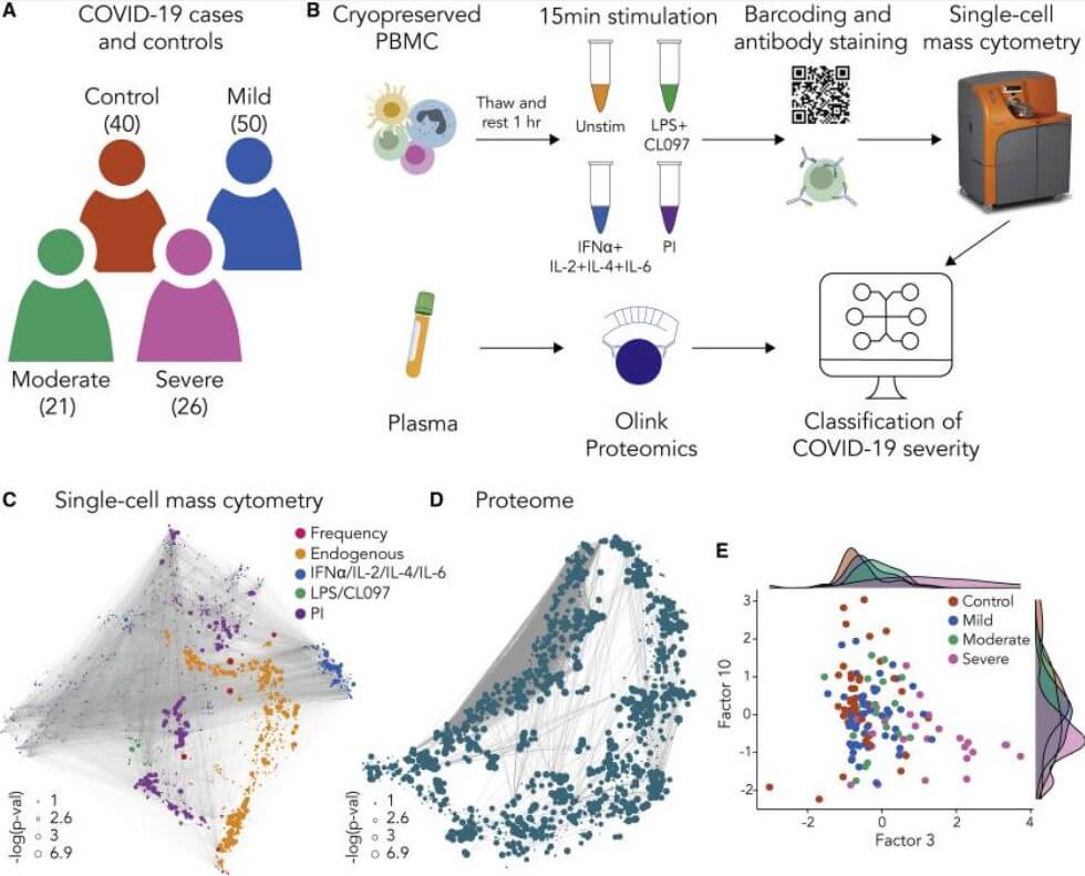 Plasma and single-cell proteomics across COVID-19 severity levels.