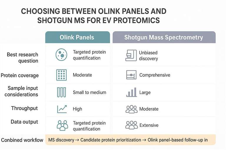Olink vs Shotgun MS decision matrix for extracellular vesicle proteomics, including combined workflow guidance