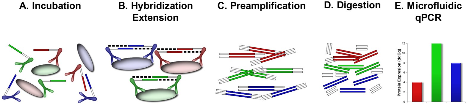 Figure 1. 96-plex PEA assay layout for proteomics analysis