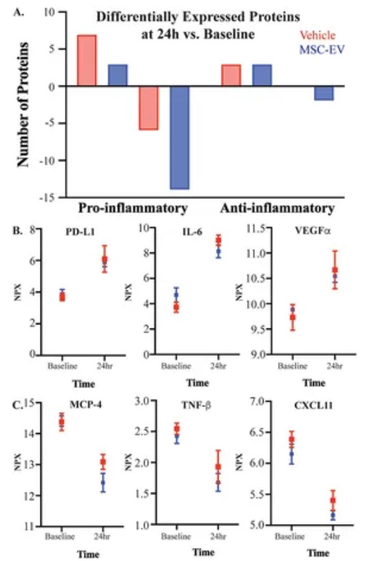Temporal changes in plasma inflammatory biomarker profiles during recovery following injury
