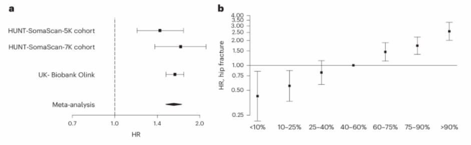 Scatter plot showing protein biomarker scores correlation with hip fracture risk in elderly population