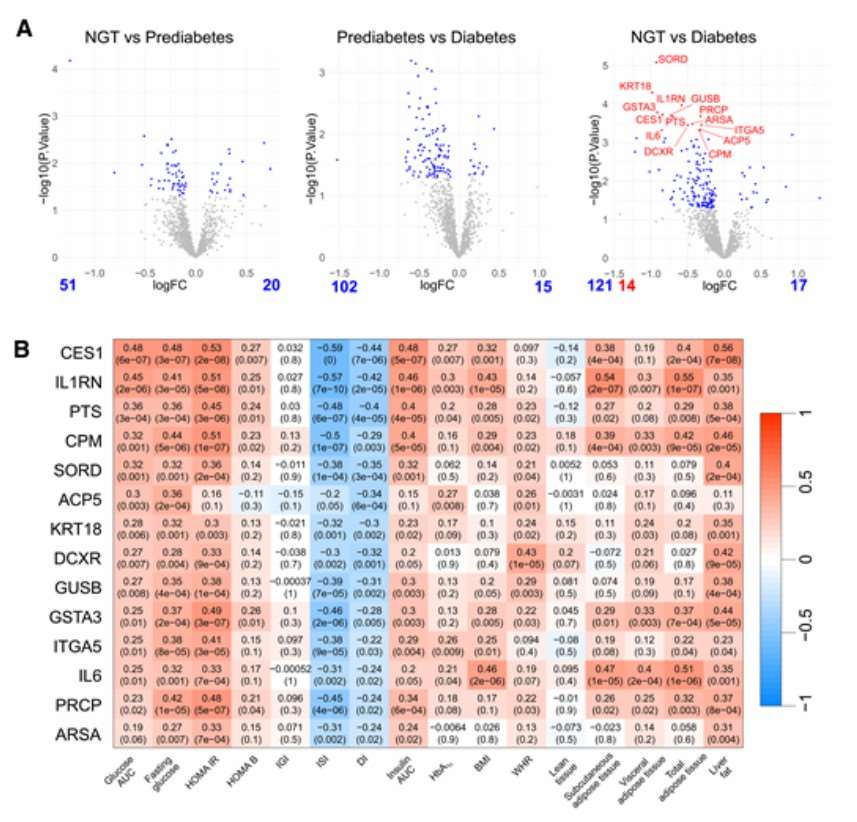 Heatmap showing protein expression differences across glycemic groups over time.