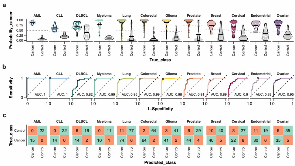 Cancer diagnostic figure: probability, ROC curves, confusion matrix.