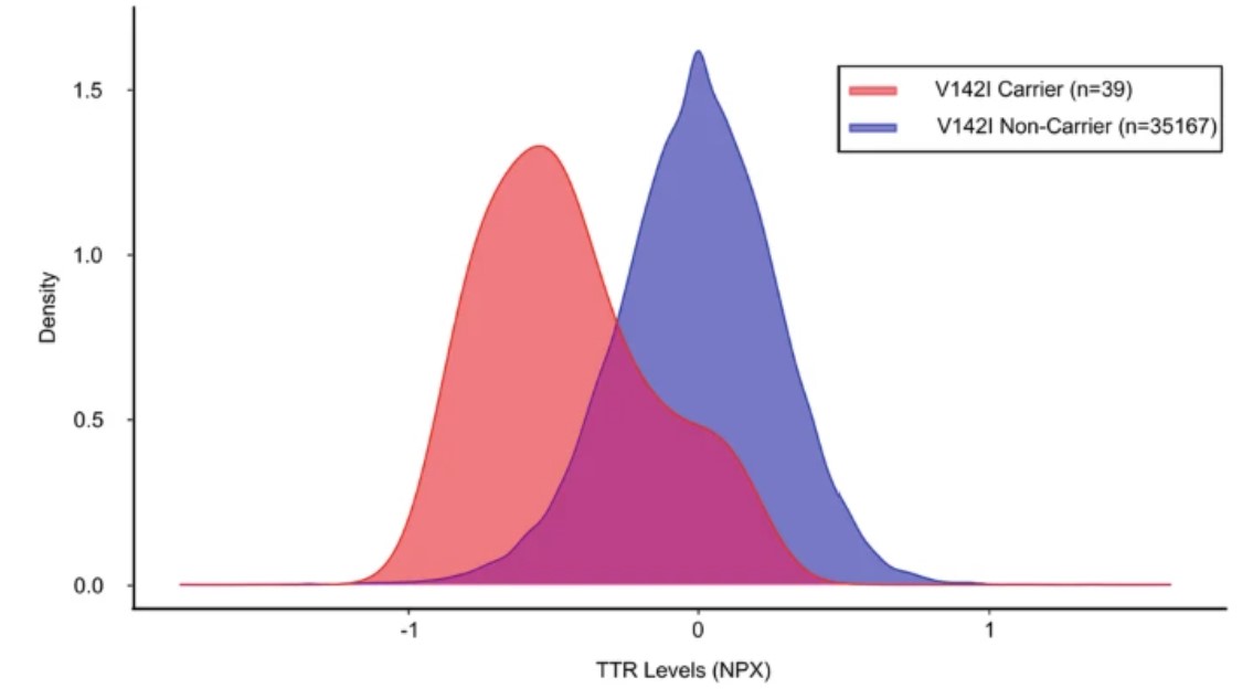 Distribution of serum transthyretin levels grouped by presence/absence of the V142I mutation