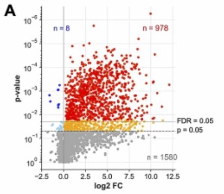Volcano plot showing log2 fold change in BCAM-induced protein signal intensities.