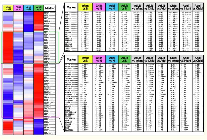 Heatmap plot showing age-stratified atherosclerosis protein differences in atopic dermatitis patients