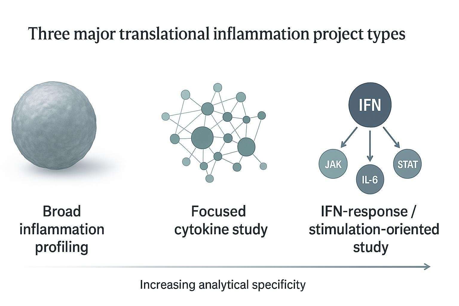 Scientific comparison figure showing broad inflammation profiling vs focused cytokine study vs IFN-response mapping as distinct project types with different intent and analytical specificity