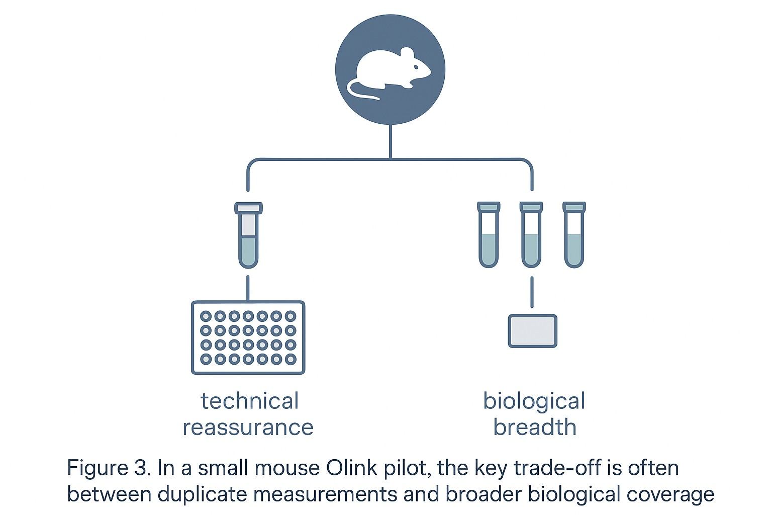 Figure 3. In a small mouse Olink pilot, the key design trade-off is often between duplicate measurements and broader biological coverage.