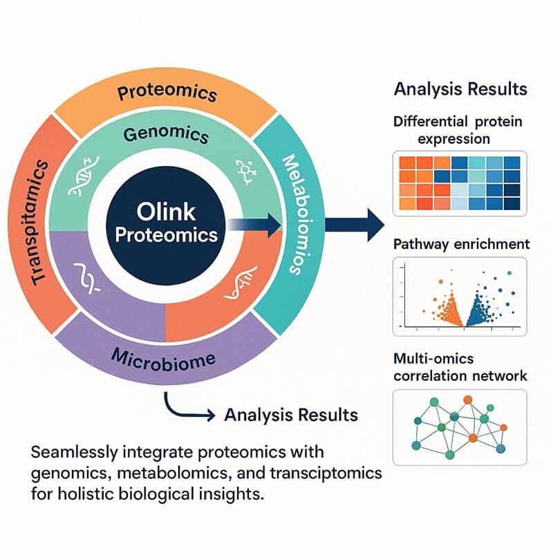 human Olink Proteomics Panel