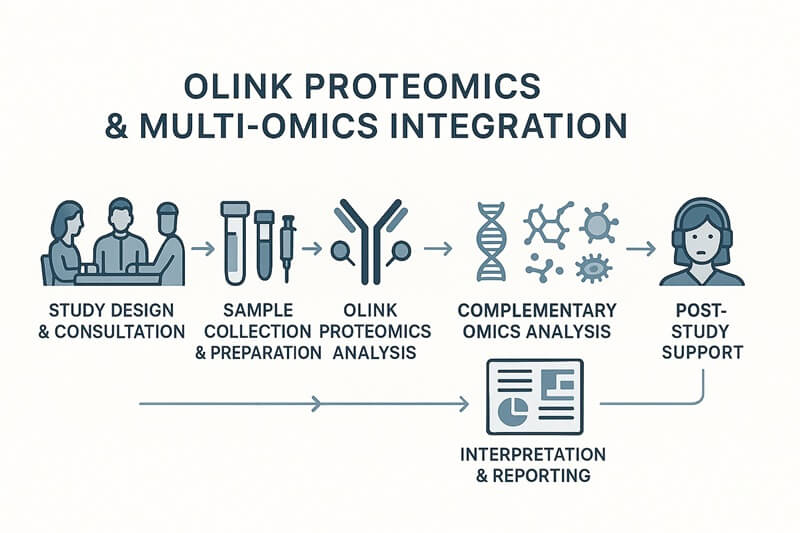 Horizontal workflow diagram of Olink Proteomics & Multi-Omics Integration
