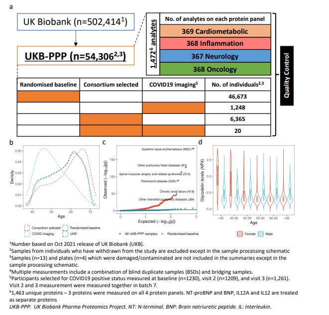 UKB-PPP study design for proteomics research
