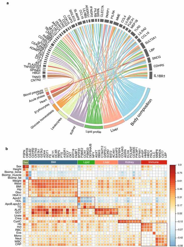 Multi-panel figure: circular chord diagram and gene expression heatmap.