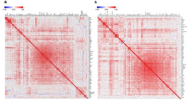 Correlation matrix of immune-oncology serum proteins