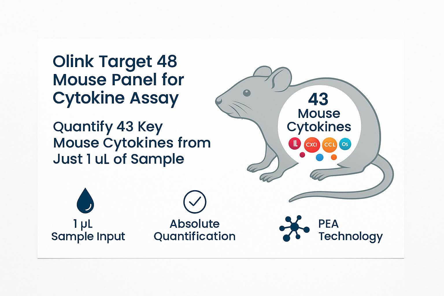 Olink Target 48 Mouse Panel infographic showing 43 mouse cytokines with 1 µL sample input and absolute quantification using PEA technology